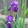 charles091777